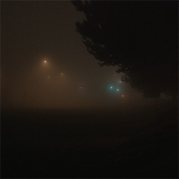 Still from Digital Crickets of a foggy street scene.